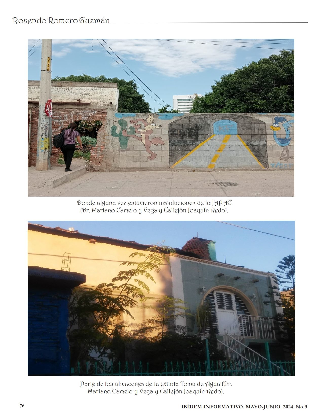 Galería Colonia Gabriel Leyva